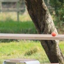 Handmade Table Balance